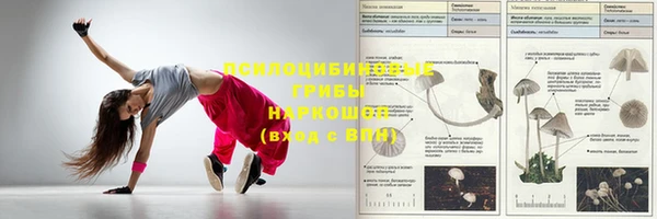 МДПВ Киренск